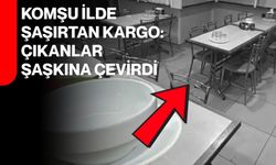 komşu ilde şaşırtan kargo: Çıkanlar şaşkına çevirdi