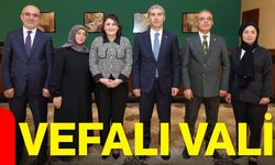 Vefalı Vali