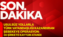 Usulsüz yollarla Türk vatandaşlığı kazandıran şebekeye operasyon: 30 şirkete kayyum atandı