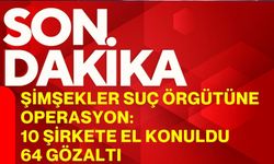 Şimşekler suç örgütüne operasyon: 10 şirkete el konuldu, 64 gözaltı