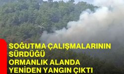 Soğutma çalışmalarının sürdüğü ormanlık alanda yeniden yangın çıktı