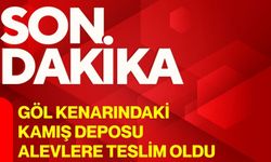 Göl kenarındaki kamış deposu alevlere teslim oldu