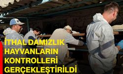 İthal damızlık hayvanların kontrolleri gerçekleştirildi