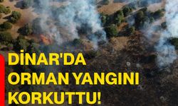 Dinar'da orman yangını korkuttu!