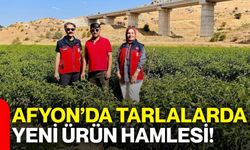Afyon’da tarlalarda yeni ürün hamlesi!