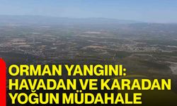 Orman yangını: Havadan ve karadan yoğun müdahale