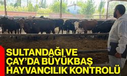 Sultandağı ve Çay’da büyükbaş hayvancılık kontrolü