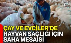 Çay ve Evciler’de hayvan sağlığı için saha mesaisi