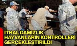 İthal damızlık hayvanların kontrolleri gerçekleştirildi