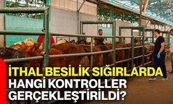 İthal besilik sığırlarda hangi kontroller gerçekleştirildi?