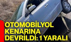 Otomobil yol kenarına devrildi: 1 yaralı