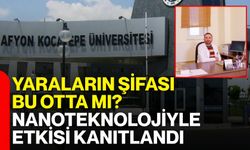 Yaraların şifası bu otta mı? Nanoteknolojiyle etkisi kanıtlandı