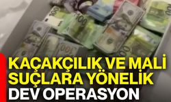 Kaçakçılık ve mali suçlara yönelik dev operasyon