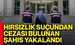 Hırsızlık suçundan cezası bulunan şahıs yakalandı