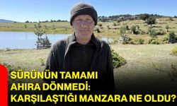 Sürünün tamamı ahıra dönmedi: Karşılaştığı manzara ne oldu?