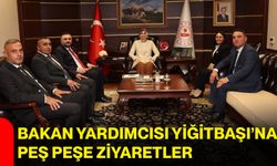 Bakan Yardımcısı Yiğitbaşı’na peş peşe ziyaretler