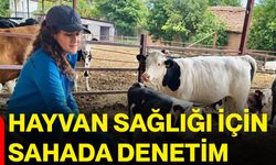 Hayvan sağlığı için sahada denetim