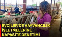 Evciler’de hayvancılık işletmelerine kapasite denetimi