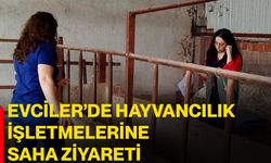 Evciler’de hayvancılık işletmelerine saha ziyareti