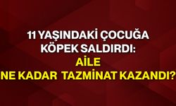 11 yaşındaki çocuğa köpek saldırdı: Aile ne kadar tazminat kazandı?