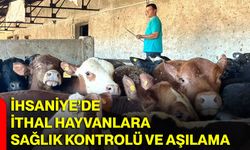 İhsaniye’de ithal hayvanlara sağlık kontrolü ve aşılama