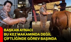 Başkan Aynacı bu kez makamında değil, çiftliğinde görev başında