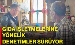 Gıda işletmelerine yönelik denetimler sürüyor