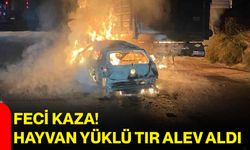Feci kaza! Hayvan yüklü tır alev aldı