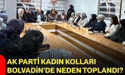 AK Parti Kadın Kolları Bolvadin’de neden toplandı?