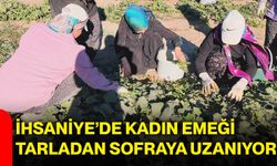 İhsaniye’de kadın emeği tarladan sofraya uzanıyor