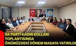 AK Parti Kadın Kolları toplantısında önümüzdeki dönem masaya yatırıldı