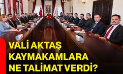 Vali Aktaş kaymakamlara ne talimat verdi?