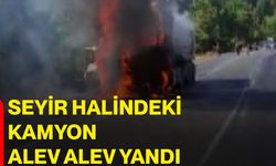 Seyir halindeki kamyon alev alev yandı