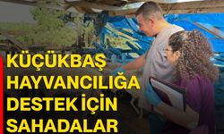 Küçükbaş hayvancılığa destek için sahadalar