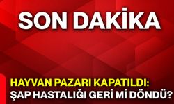 Hayvan pazarı kapatıldı: Şap hastalığı geri mi döndü?