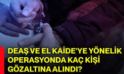 DEAŞ ve El Kaide'ye yönelik operasyonda kaç kişi gözaltına alındı?