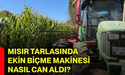 Mısır tarlasında ekin biçme makinesi nasıl can aldı?