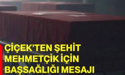 Çiçek’ten şehit mehmetçik için başsağlığı mesajı