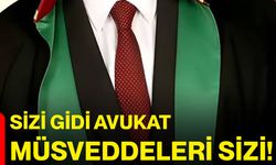 Sizi gidi avukat müsveddeleri sizi!