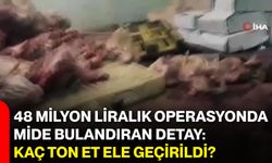 48 milyon liralık operasyonda mide bulandıran detay: Kaç ton et ele geçirildi?