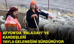 Afyon’da "Pala Dayı" ve kardeşleri yayla geleneğini sürdürüyor