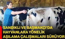 Sandıklı ve Başmakçı’da hayvanlara yönelik aşılama çalışmaları sürüyor