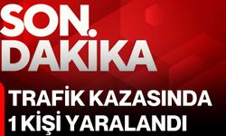 Trafik kazasında 1 kişi yaralandı
