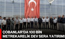 Çobanlar’da 100 Bin Metrekarelik dev sera yatırımı