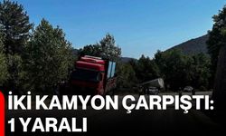 İki kamyon çarpıştı: 1 yaralı