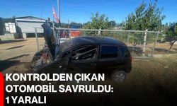 Kontrolden çıkan otomobil savruldu: 1 yaralı