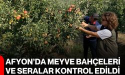 Afyon’da meyve bahçeleri ve seralar kontrol edildi