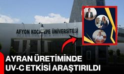 Ayran üretiminde UV-C etkisi araştırıldı