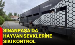 Sinanpaşa’da hayvan sevklerine sıkı kontrol