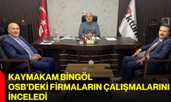 Kaymakam Bingöl OSB’deki firmaların çalışmalarını inceledi